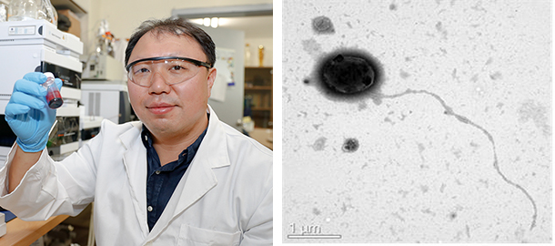 최혁재 교수, 유용 항생물질 생산 ‘신종(種) 해양미생물’ 발견